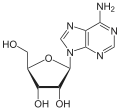 Chemical structure of adenosine