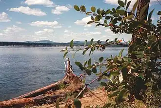 Angara, afluent al Eniseiului (lângă Bratsk)