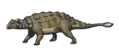 Ankylosaurus