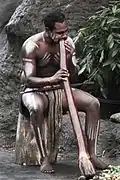 Didgeridoo