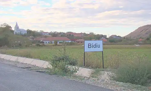 Satul Bidiu