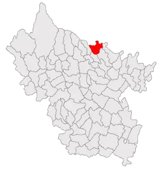 Poziția în cadrul județului Buzău