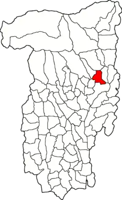 Amplasarea în cadrul județului