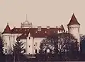Castelul "Karolyi" la începutul secolului al XX-lea