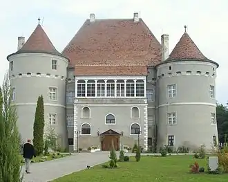 Castelul din Cetatea de Baltă