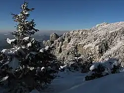 Vf. Toaca și Piatra Ciobanului