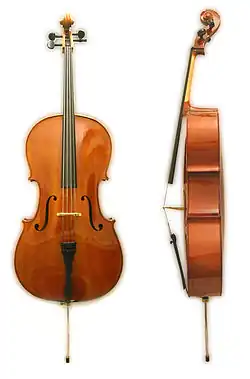 Violoncel