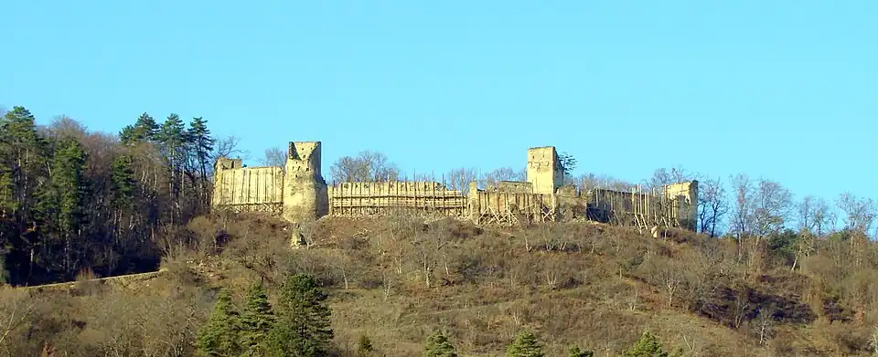 Cetatea țărănească (monument istoric)