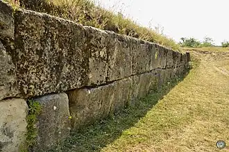 Cetatea dacică Costești-Cetățuie