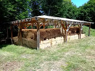 Cetatea dacică de la Tilișca (monument istoric)