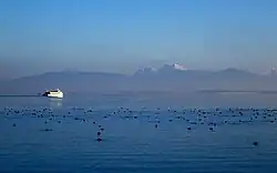 Chiemsee văzut iarna