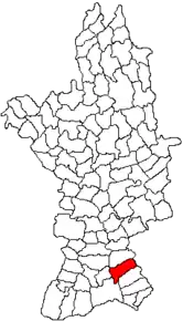 Amplasarea în cadrul județului