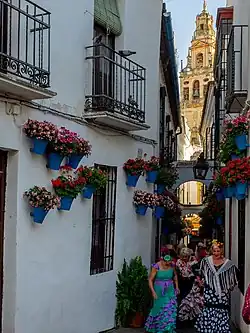 Calleja de las Flores, cu turnul Catedralei pe fundal