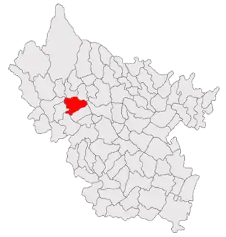 Poziția în cadrul județului Buzău