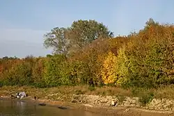 Pescuit cu undița de pe grindul fluviatil