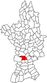 Amplasarea în cadrul județului