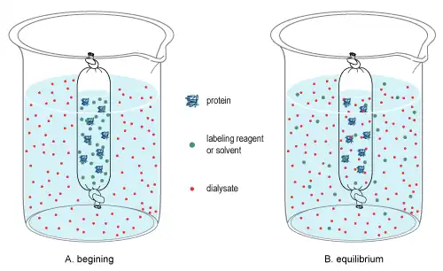 Dializă cu molecule mici cu ajutorul tuburilor de dializă