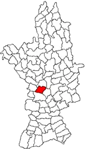 Amplasarea în cadrul județului