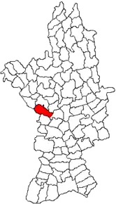 Amplasarea în cadrul județului