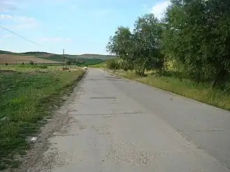 Drumul Miceștii de Câmpie-Sânmihaiu de Câmpie