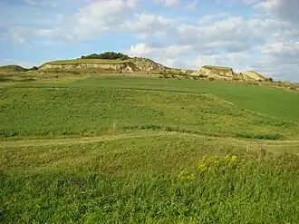 Panoramă din drumul Miceștii de Câmpie-Visuia