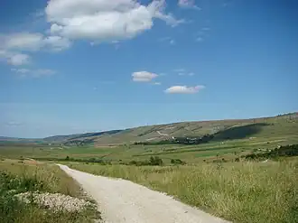 Drumul Petreștii de Sus-Borzești