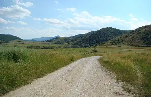 Drumul Petreștii de Sus-Borzești