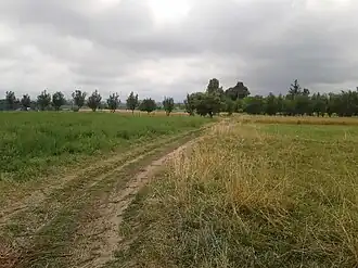 Drum de țară între Poieni-Solca și Botoșana