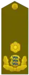 Estonia:Brigaadikindral