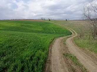 Drum pe moșia satului.