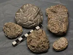 Bucăți de rocă din Chiemsee