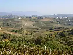 Slovenia submediteraneană: podgorii din dealurile Gorizia(d)