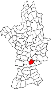 Amplasarea în cadrul județului