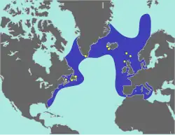 A map showing the range of the great auk, with the coasts of North America and Europe forming two boundaries, a line stretching from New England to northern Portugal the southern boundary, and the northern boundary wrapping around the southern shore of Greenland.