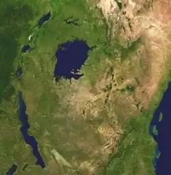 Satellite view of East Africa with the line of rift lakes on left.