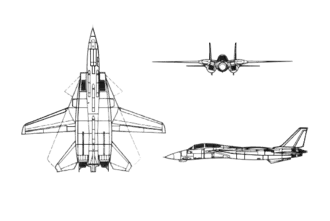 Diagramă proiectată ortografic a lui Grumman F-14 Tomcat.