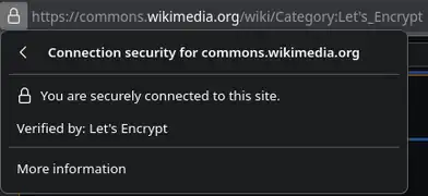 La accesarea unui site care are un certificat comun, pe bara de adrese apare un lacăt.