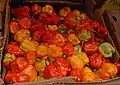 Scotch bonnet (C. chinense) in a Caribbean market