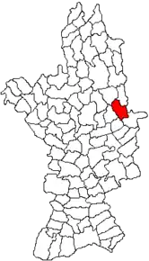 Amplasarea în cadrul județului