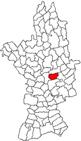 Amplasarea în cadrul județului