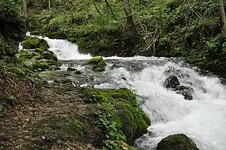 Imagine din rezervație