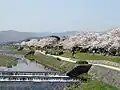 Malul râului Kamogawa în Kyoto