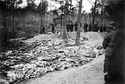 Masacrul dela Katyń