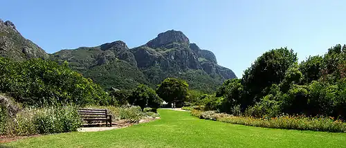 Grădina Botanică Națională Kirstenbosch