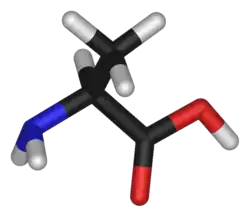 Alanina conține o grupare amino grefată pe un schelet de acid propanoic