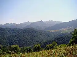 Pădurea Laton din Gilan