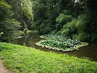 Lacul din parcul dendrologic Simeria