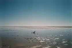 Exemplu de lac endoreicLacul Eyre din Australia centrală