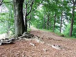 Traseu de drumeție în munții&nbsp;Mátra