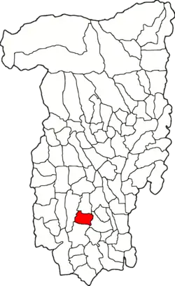 Amplasarea în cadrul județului